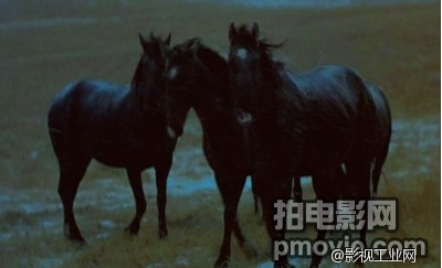 如何在阴天拍夜景