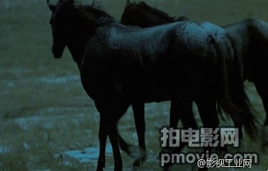 如何在阴天拍夜景