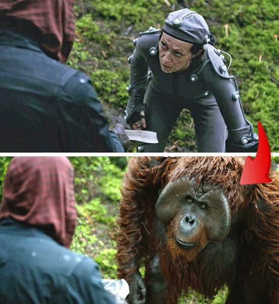 专访｜《猩球崛起2》导演马特·里夫斯的“暴力解剖”