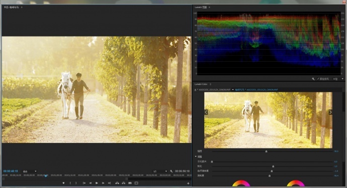 【咖啡与马】之佳能C300 Mark II