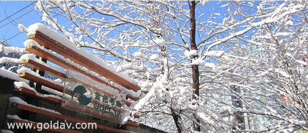 [号角分享]拍摄雪景的技巧