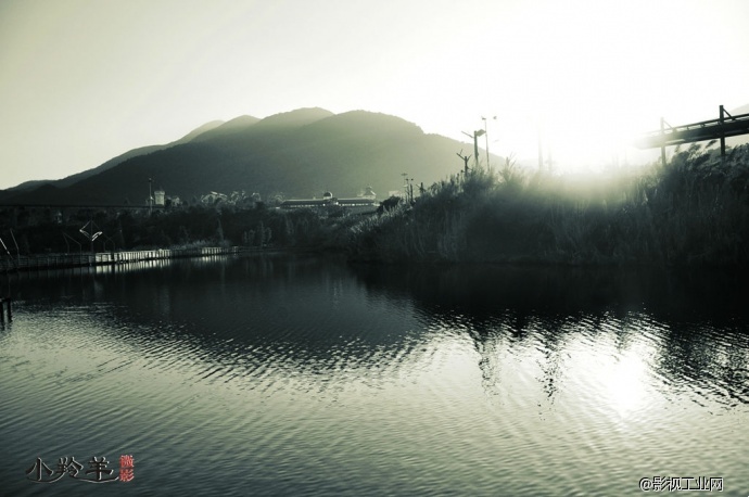 深圳小羚羊微影摄影图片