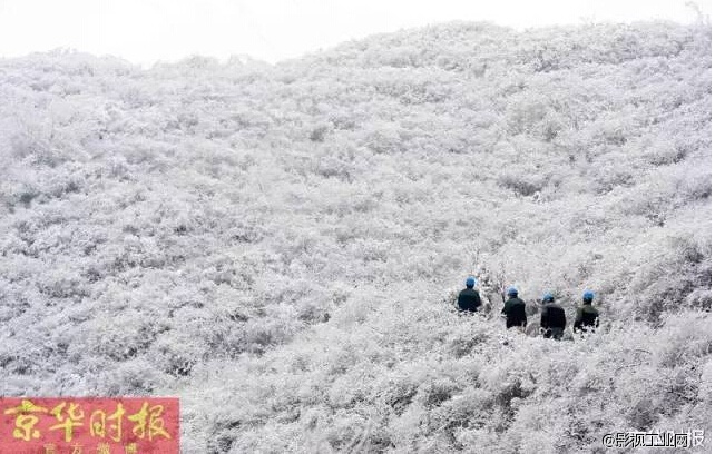 雪中最温暖的身影叫坚守！