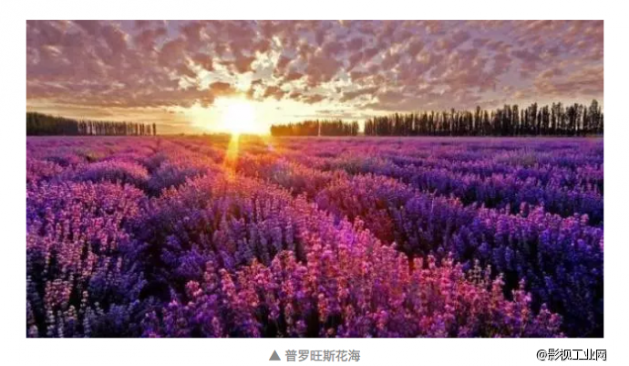 戛纳尺度一直这么大,总菊也不管管~