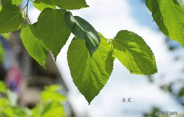 央视记者无人机驾照哪里考?未来智能飞行学院培训忙!