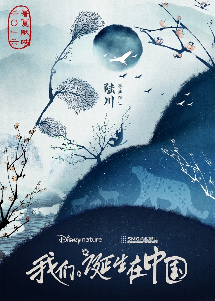 电影从业者,值得一看的影片,《我们诞生在中国》观影手记
