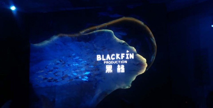 文艺片的春天来了?黑鳍携手七位独立导演发最新片单