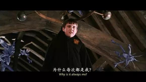 论情怀,十个《神奇动物在哪里》都换不来我对《哈利波特》的喜爱