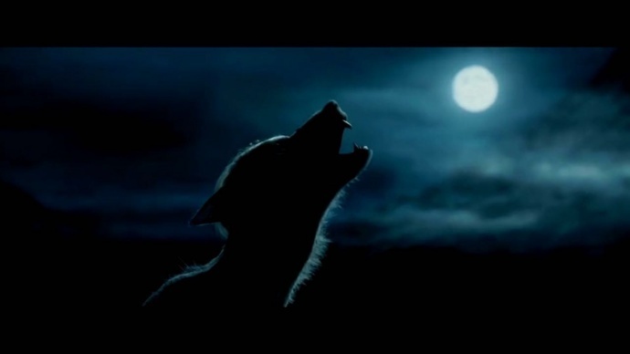 论情怀,十个《神奇动物在哪里》都换不来我对《哈利波特》的喜爱