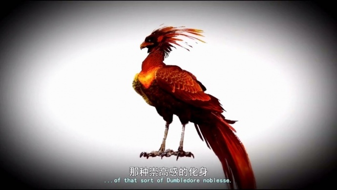 论情怀,十个《神奇动物在哪里》都换不来我对《哈利波特》的喜爱