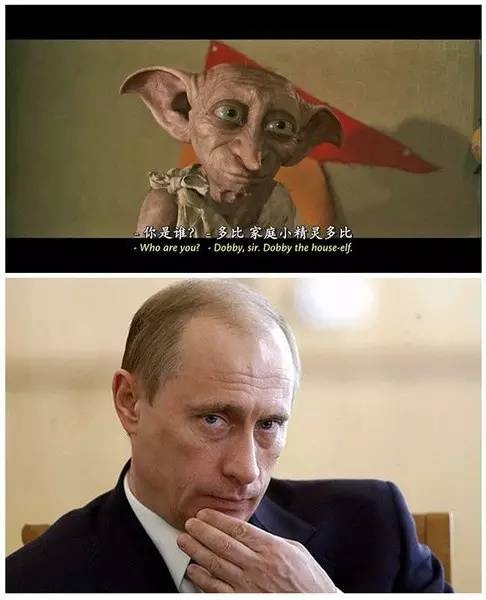 论情怀,十个《神奇动物在哪里》都换不来我对《哈利波特》的喜爱