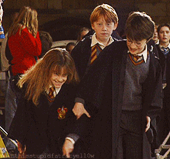 论情怀,十个《神奇动物在哪里》都换不来我对《哈利波特》的喜爱