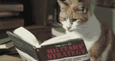 12月份的地球要被这些吊炸天的动物承包了吗??