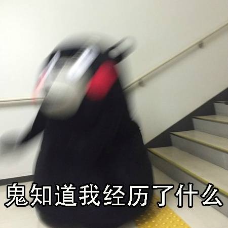 淘宝看片,指日可待,论一个剁手网站的自我修养
