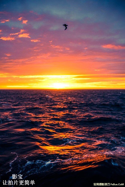 到两极拍摄你需要哪些的装备