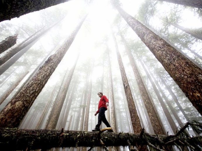 你只是在拍片,离会拍片还有1个原理的距离!