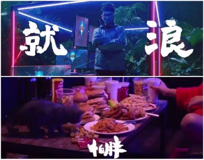 为什么熊猫直播首支广告没有像王思聪一样火起来?