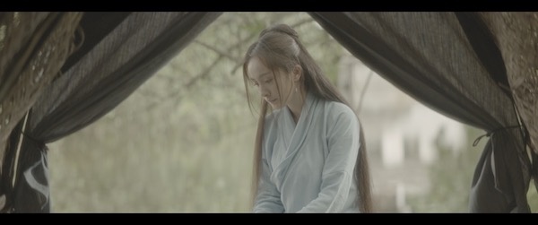 刀光剑影 岁月如歌
