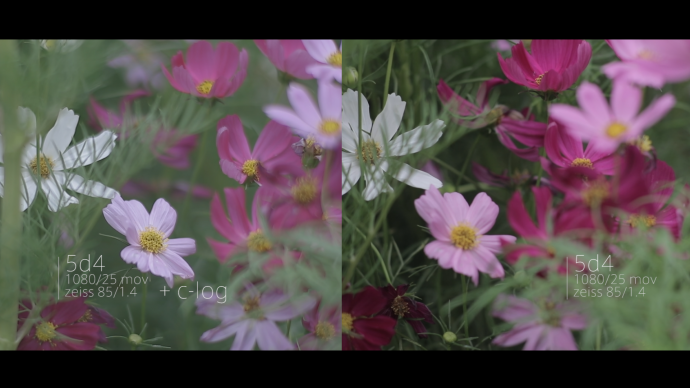 出来卖的 5d4 c-log 你看值不值