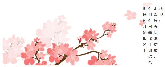 庆祝BIRTV圆满结束，9月9日新飞手训练营开始报名！