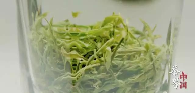 那些影片获得“2017映像4K•松下视频大赛最佳影片”称号?