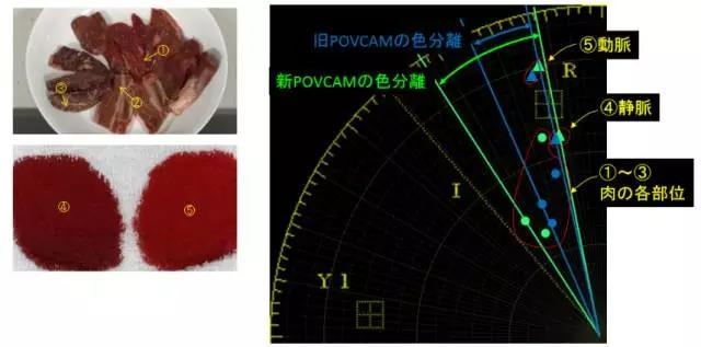 小身材大有作为!新POVCAM产品拍摄应用