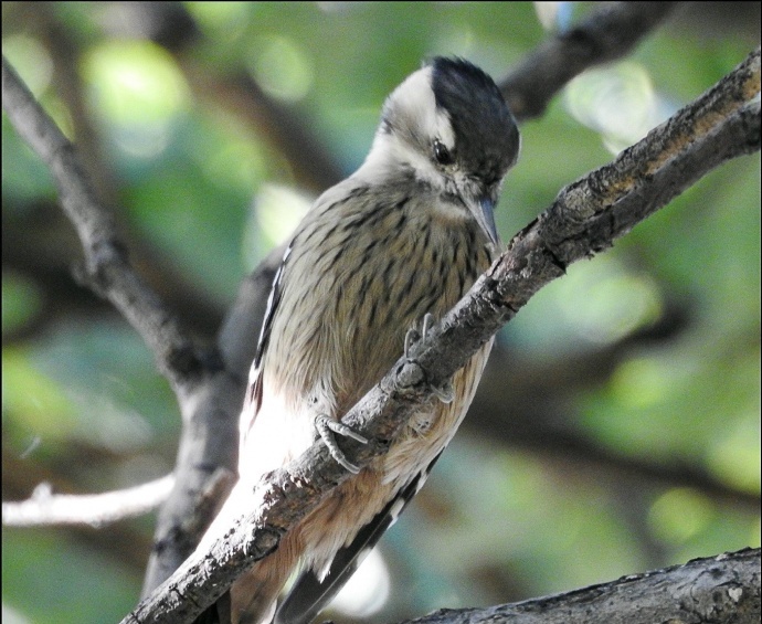 [摄影师分享] GH5升级后的对焦情况|影视工业网