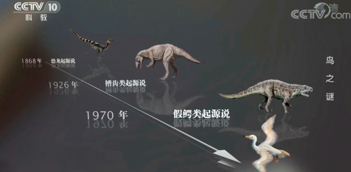 纪录片拍摄,画面上都应该做哪些思考?——《百年地理大发现》幕后故事之专访摄影师辛春风