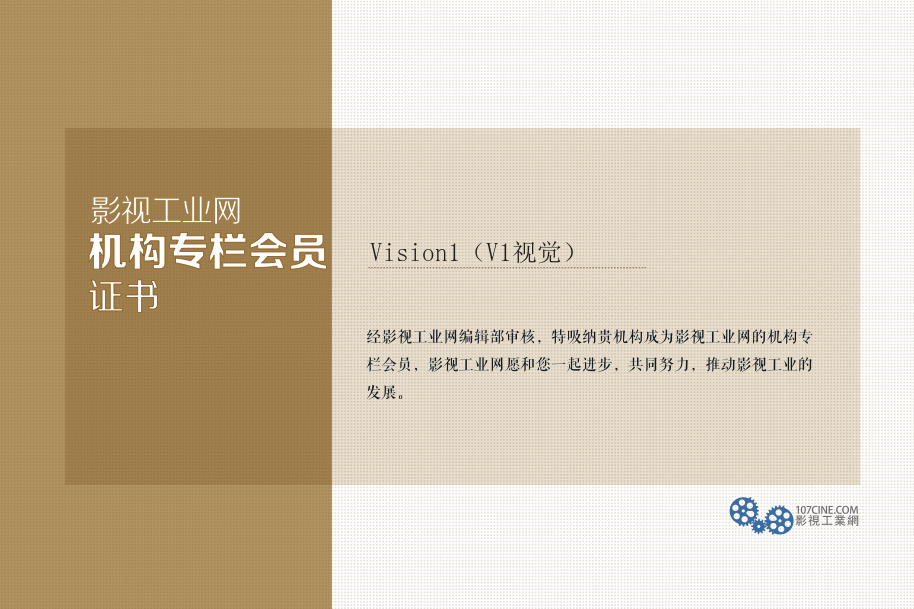 Vision1（V1视觉）